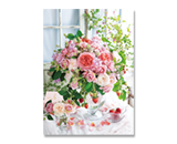 ポストカード/Post cards